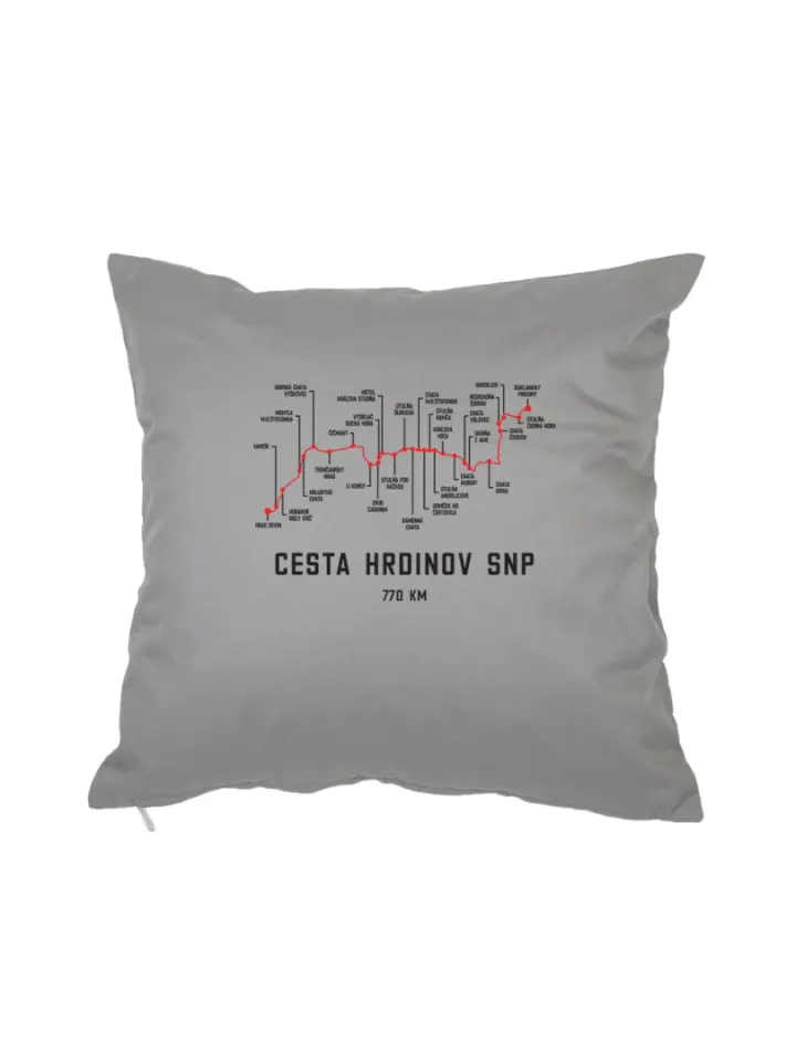 Cesta SNP