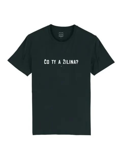 Čo ty a Žilina?