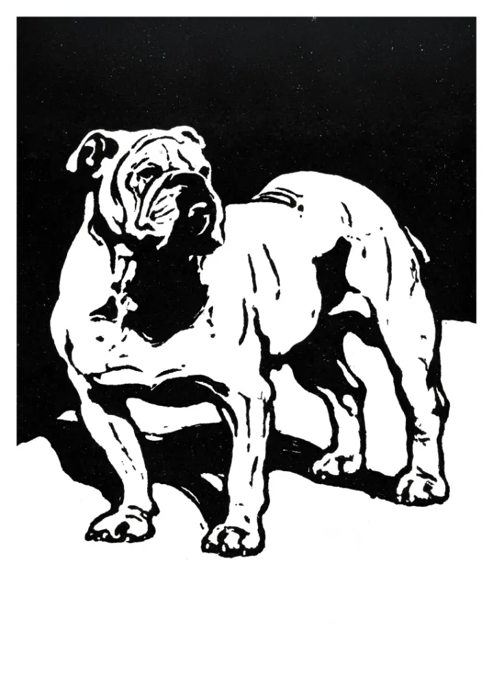 Britský Bulldog, William Nicholson, 1899
