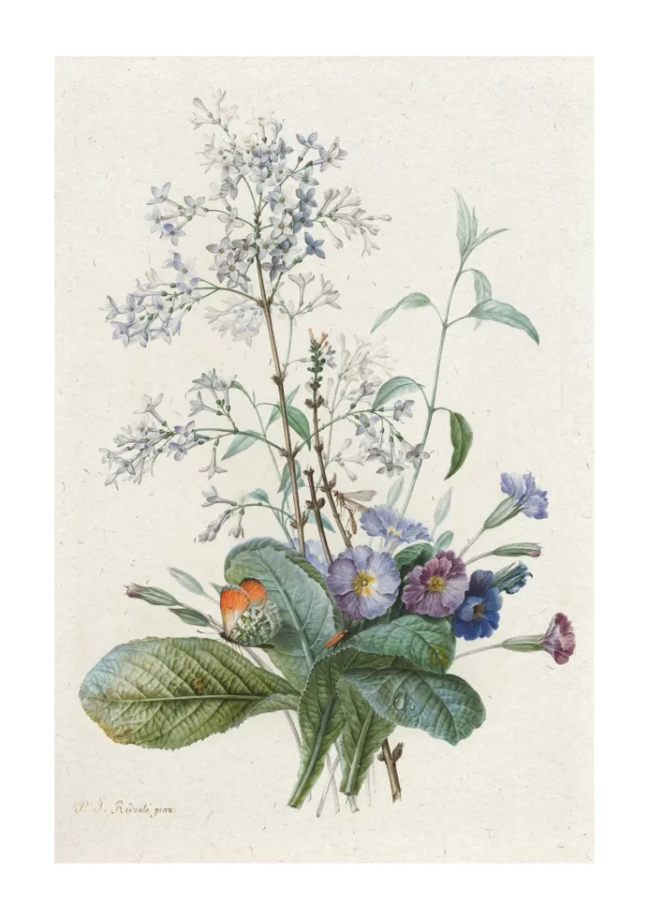 Kytica kvetov s hmyzom, Pierre Joseph Redouté, ca. 1759-1840